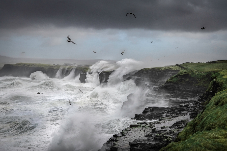 Blue Ant Media Plots Ambitious Growth Strategy After Going Public, Buying MagellanTV